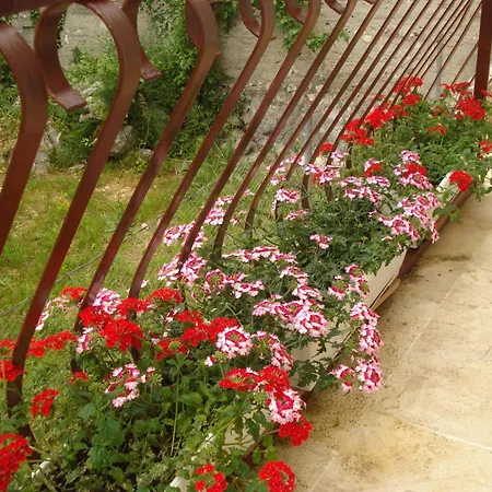 Apartments With Parking Space Biograd Na Moru - 15661 * Biograd Na Moru